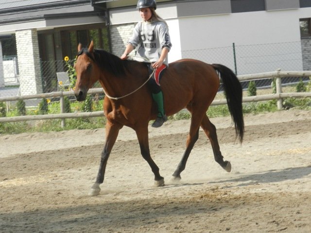 Babie Lato 2016